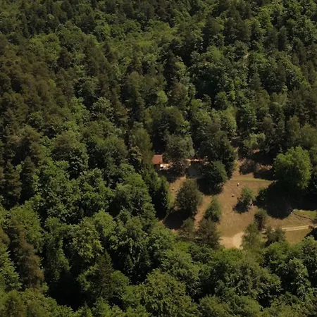 The Nook - Sauna, Pool, Ice Bath Chalet