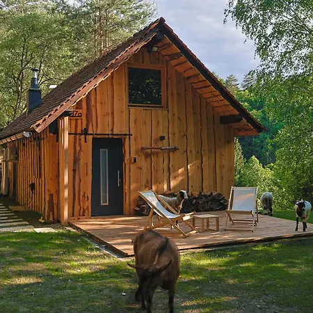 The Nook - Sauna, Pool, Ice Bath Chalet