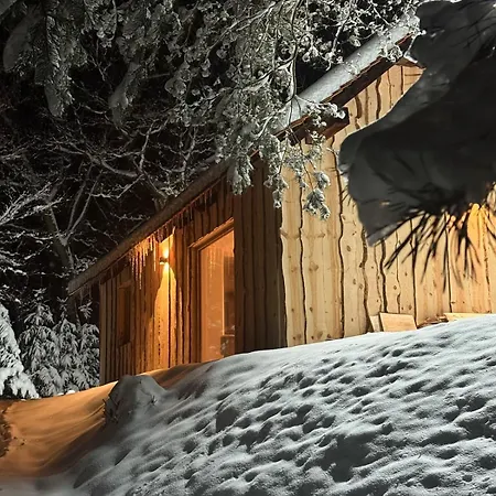 The Nook - Sauna, Pool, Ice Bath Chalet